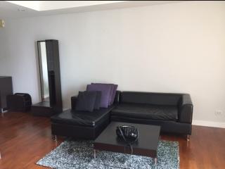 For Rent Bangkok Condo Baan Siri 24 Sukhumvit 24 BTS Phrom Phong Khlong Toei