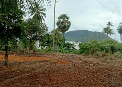 Prime Beachfront Development Land: Build Your Dream Villas and Achieve High ROI in Rawai