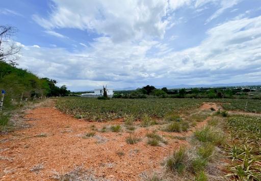 Hillside Land For Sale With Stunning Views