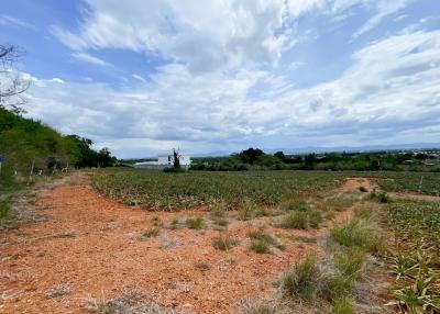 Hillside Land For Sale With Stunning Views