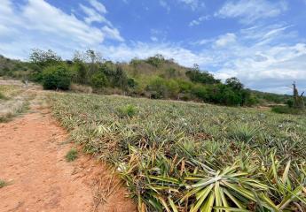 Hillside Land For Sale With Stunning Views