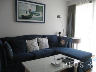 Condo with 230m pool easy access to city