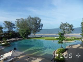 Condo with 230m pool easy access to city