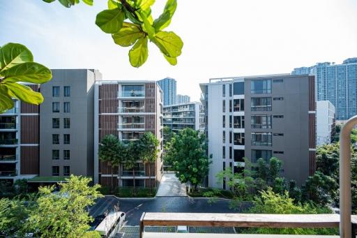 Resort style condo embraced by big trees