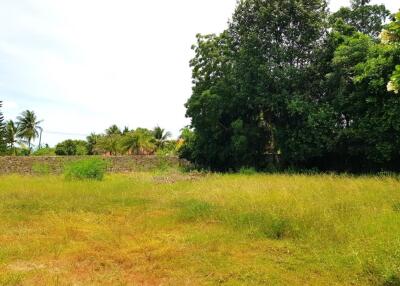 Very nice Land Plot for sale in Huay Yai area