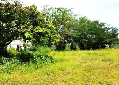 Very nice Land Plot for sale in Huay Yai area