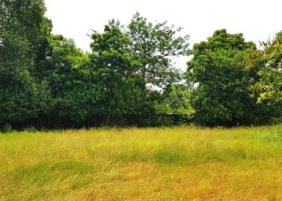 Very nice Land Plot for sale in Huay Yai area