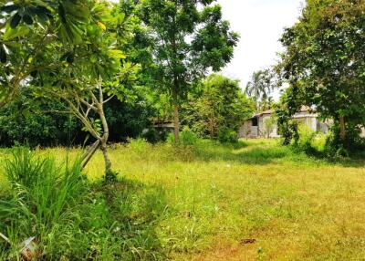 Very nice Land Plot for sale in Huay Yai area