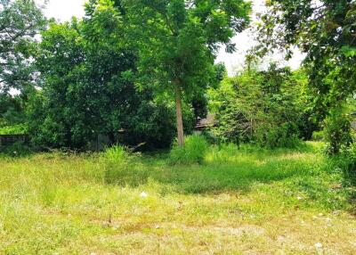 Very nice Land Plot for sale in Huay Yai area