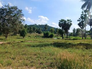 Land for sale in Huay Yai