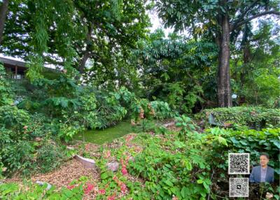 For Sale: Large old house with almost half a rai of land on Pridi 42, Sukhumvit 71