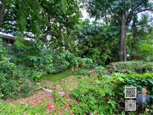 For Sale: Large old house with almost half a rai of land on Pridi 42, Sukhumvit 71