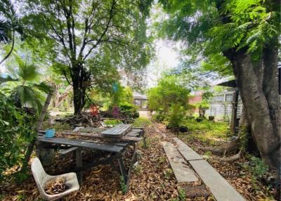 Land for sale 320 sq.wah Sukhumvit 101 (Punnawithi) in the residential area