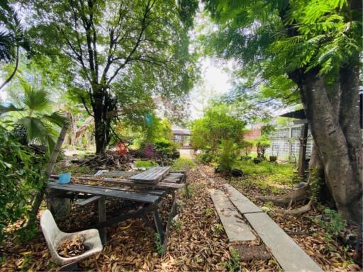 Land for sale 320 sq.wah Sukhumvit 101 (Punnawithi) in the residential area