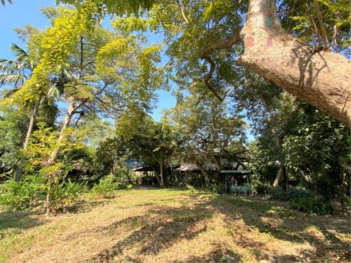 2,824 Sqm. Land listed for ฿ 127,080,000.