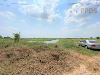 42,736 Sqm. Land listed for ฿ 21,368,000.