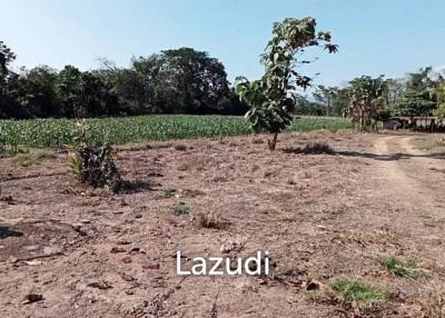21 Rai Agriculture and Plantation Land