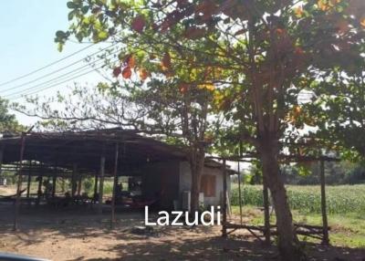 21 Rai Agriculture and Plantation Land