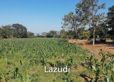 21 Rai Agriculture and Plantation Land