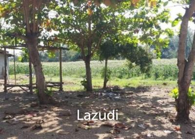 21 Rai Agriculture and Plantation Land