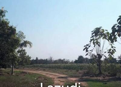 21 Rai Agriculture and Plantation Land