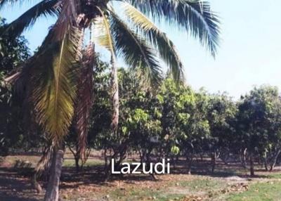 21 Rai Agriculture and Plantation Land