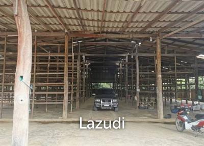 Longan Factory or Warehouse with House