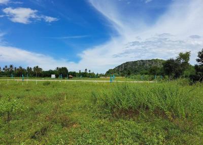 Prime Location Land 915m To Beach : Kao Kalok