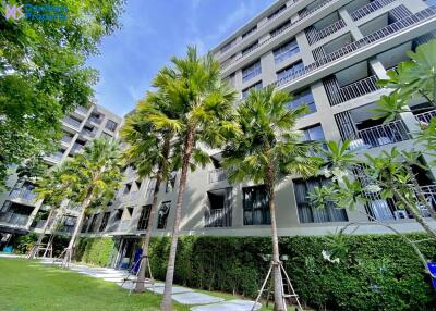 Luxury 1-Bedroom Condo at Marvest Hua Hin Condominium