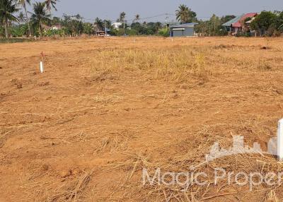 8 Rai Land  for Sale in Wang Pong, Pran Buri, Prachuap Khiri Khan