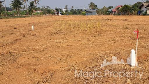 8 Rai Land  for Sale in Wang Pong, Pran Buri, Prachuap Khiri Khan