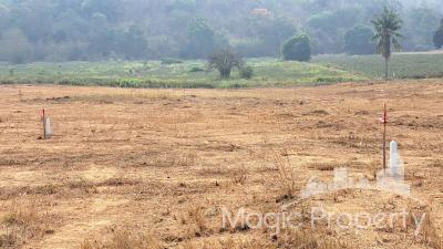 8 Rai Land  for Sale in Wang Pong, Pran Buri, Prachuap Khiri Khan