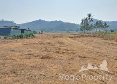 8 Rai Land  for Sale in Wang Pong, Pran Buri, Prachuap Khiri Khan