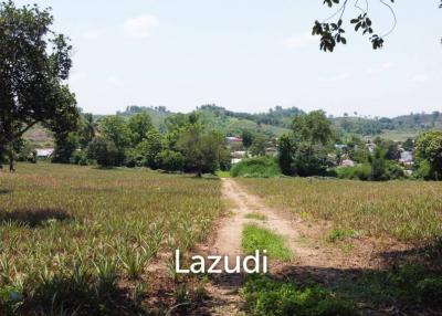 Beautiful Land with Views in Mae Yao for sale