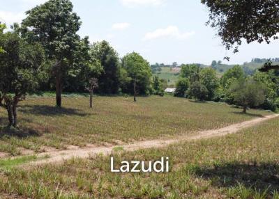 Beautiful Land with Views in Mae Yao for sale