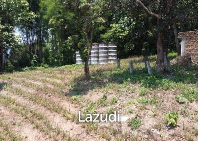 Beautiful Land with Views in Mae Yao for sale