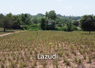 Beautiful Land with Views in Mae Yao for sale