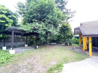 3 Bed single-storey house to rent at Ton Pao