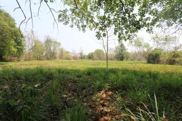 Land plot in tranquil Nam Phrae