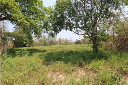 Land plot in tranquil Nam Phrae