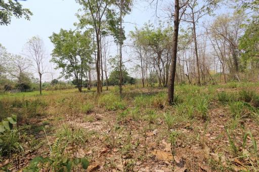 Land plot in tranquil Nam Phrae