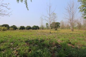 Land plot in tranquil Nam Phrae