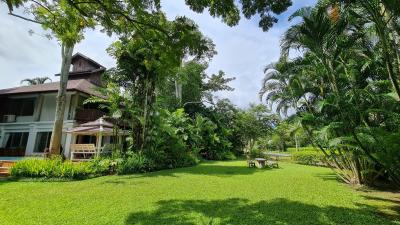 House for sale or sale with lease agreement Mae Rim District, Chiang Mai.