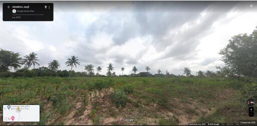 Land for sale in Nong Mai Kaen, Thung Klom, Tan Man, Nong Prue, Chonburi.  Land 33 Rai 45 Sq Wa.