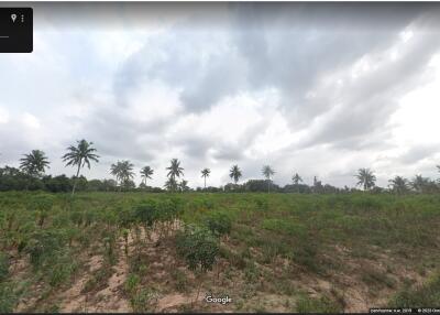 Land for sale in Nong Mai Kaen, Thung Klom, Tan Man, Nong Prue, Chonburi.  Land 33 Rai 45 Sq Wa.