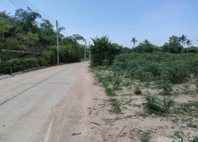 Land for sale in Nong Mai Kaen, Thung Klom, Tan Man, Nong Prue, Chonburi.  Land 33 Rai 45 Sq Wa.