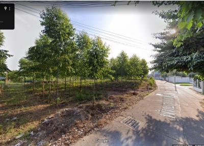 Land for sale near the road near the sea, Naklua, Banglamung, Chonburi.  Land 1-0-64 Rai