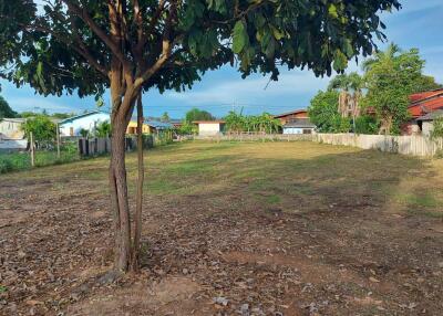 Land for sale, Huay Yai, Soi Thung Klom, Tan Man, direct installment by the owner.