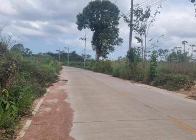 Land for sale, Huai Ta Nu, Thung Klom, Tan Man, Nong Prue, Chonburi.  Land 4 Rai 3 Ngan 49 Sq. Wa