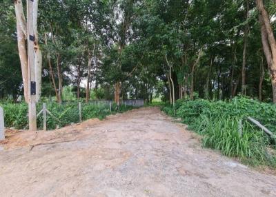 Land for sale in Mabprachan Basin Near the edge of Mabprachan Basin, Pattaya